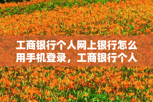 工商银行个人网上银行怎么用手机登录图片