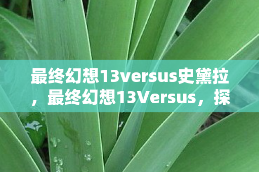 最终幻想13versus史黛拉，最终幻想13Versus，探索未知世界的奇幻之旅