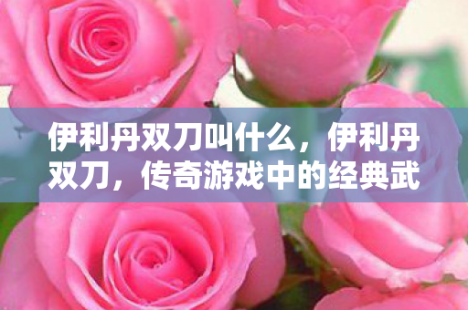 伊利丹双刀叫什么,伊利丹双刀,传奇游戏中的经典武器 伊利丹双刀叫什么,伊利丹双刀,传奇游戏中的经典武器