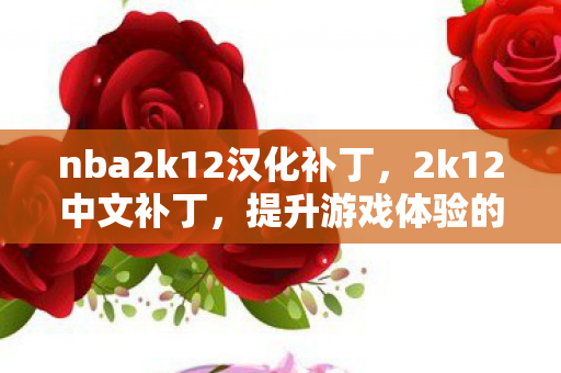 nba2k12汉化补丁，2k12中文补丁，提升游戏体验的必备利器