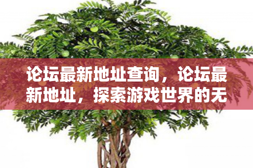论坛最新地址查询,论坛最新地址,探索游戏世界的无限可能 论坛最新地址查询,论坛最新地址,探索游戏世界的无限可能