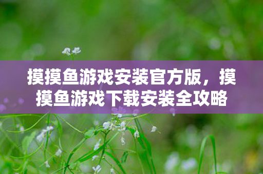 摸摸鱼游戏安装官方版，摸摸鱼游戏下载安装全攻略