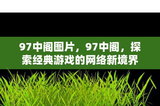 97中阁图片,97中阁,探索经典游戏的网络新境界 97中阁图片,97中阁,探索经典游戏的网络新境界