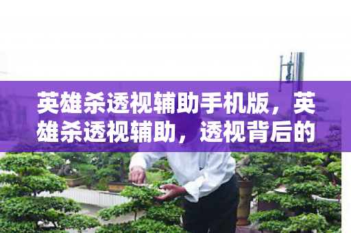 英雄杀透视辅助手机版,英雄杀透视辅助,透视背后的秘密与游戏公平性探讨 英雄杀透视辅助手机版,英雄杀透视辅助,透视背后的秘密与游戏公平性探讨