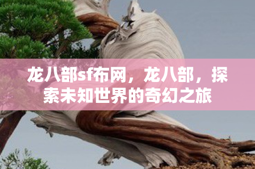 龙八部sf布网,龙八部,探索未知世界的奇幻之旅 龙八部sf布网,龙八部,探索未知世界的奇幻之旅