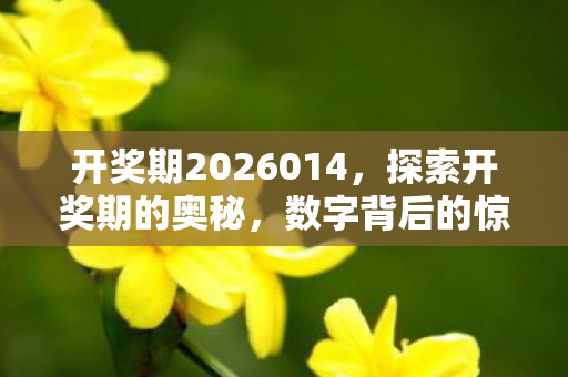 开奖期2026014,探索开奖期的奥秘,数字背后的惊喜与期待 开奖期2026014,探索开奖期的奥秘,数字背后的惊喜与期待