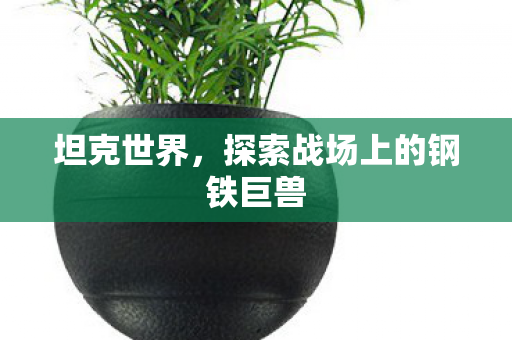 坦克世界，探索战场上的钢铁巨兽