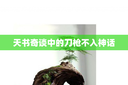 天书奇谈中的刀枪不入神话 天书奇谈中的刀枪不入神话