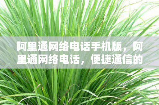 阿里通网络电话手机版,阿里通网络电话,便捷通信的新选择 阿里通网络电话手机版,阿里通网络电话,便捷通信的新选择