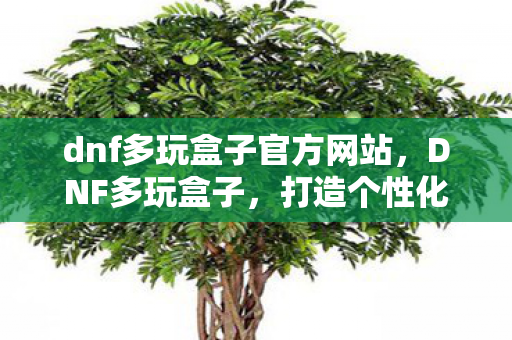 dnf多玩盒子官方网站，DNF多玩盒子，打造个性化游戏体验的必备神器
