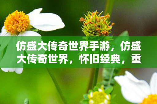 仿盛大传奇世界手游，仿盛大传奇世界，怀旧经典，重塑传奇