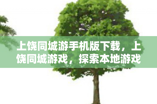 上饶同城游手机版下载,上饶同城游戏,探索本地游戏文化的魅力 上饶同城游手机版下载,上饶同城游戏,探索本地游戏文化的魅力