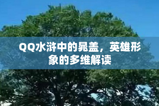 QQ水浒中的晁盖,英雄形象的多维解读 QQ水浒中的晁盖,英雄形象的多维解读