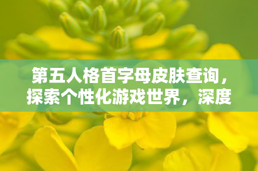 第五人格首字母皮肤查询,探索个性化游戏世界,深度解析皮肤查询的奥秘 第五人格首字母皮肤查询,探索个性化游戏世界,深度解析皮肤查询的奥秘