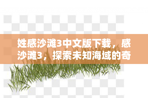 姓感沙滩3中文版下载,感沙滩3,探索未知海域的奇妙之旅 姓感沙滩3中文版下载,感沙滩3,探索未知海域的奇妙之旅
