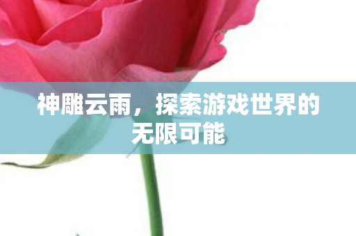 神雕云雨,探索游戏世界的无限可能 神雕云雨,探索游戏世界的无限可能
