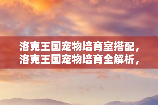 洛克王国宠物培育室搭配,洛克王国宠物培育全解析,打造最强萌宠的秘诀 洛克王国宠物培育室搭配,洛克王国宠物培育全解析,打造最强萌宠的秘诀