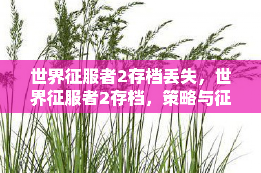 世界征服者2存档丢失,世界征服者2存档,策略与征服的永恒记忆 世界征服者2存档丢失,世界征服者2存档,策略与征服的永恒记忆