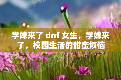 学妹来了 dnf 女生,学妹来了,校园生活的甜蜜烦恼 学妹来了 dnf 女生,学妹来了,校园生活的甜蜜烦恼