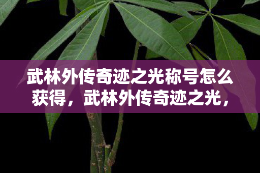 武林外传奇迹之光称号怎么获得,武林外传奇迹之光,探索经典游戏的传承与创新 武林外传奇迹之光称号怎么获得,武林外传奇迹之光,探索经典游戏的传承与创新