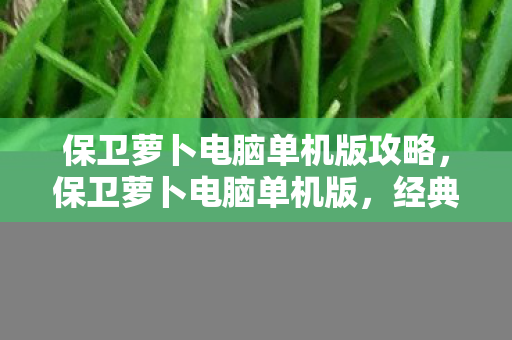 保卫萝卜电脑单机版攻略,保卫萝卜电脑单机版,经典塔防游戏的魅力与回忆 保卫萝卜电脑单机版攻略,保卫萝卜电脑单机版,经典塔防游戏的魅力与回忆