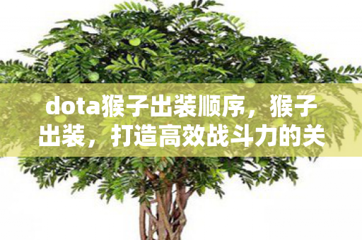 dota猴子出装顺序,猴子出装,打造高效战斗力的关键 dota猴子出装顺序,猴子出装,打造高效战斗力的关键