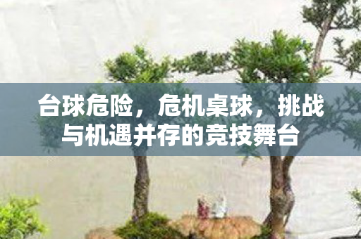 台球危险,危机桌球,挑战与机遇并存的竞技舞台 台球危险,危机桌球,挑战与机遇并存的竞技舞台