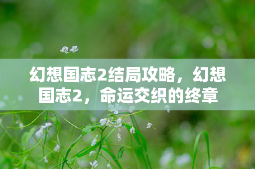 幻想国志2结局攻略,幻想国志2,命运交织的终章 幻想国志2结局攻略,幻想国志2,命运交织的终章