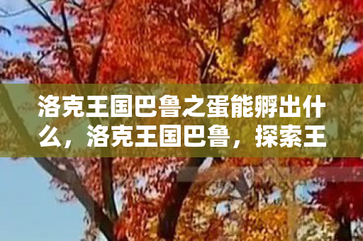 洛克王国巴鲁之蛋能孵出什么,洛克王国巴鲁,探索王国中的神秘角色 洛克王国巴鲁之蛋能孵出什么,洛克王国巴鲁,探索王国中的神秘角色