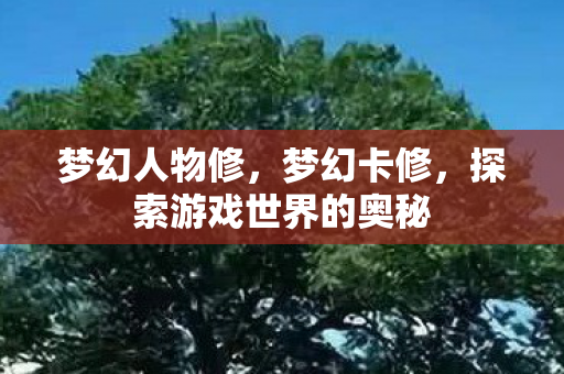 梦幻人物修,梦幻卡修,探索游戏世界的奥秘 梦幻人物修,梦幻卡修,探索游戏世界的奥秘