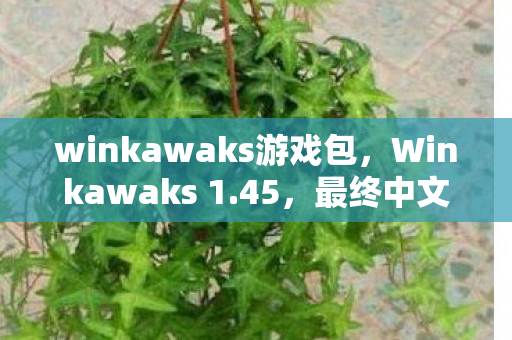winkawaks游戏包,Winkawaks 1.45,最终中文典藏版的深度体验与解析 winkawaks游戏包,Winkawaks 1.45,最终中文典藏版的深度体验与解析