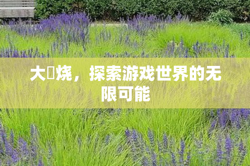 大屌烧,探索游戏世界的无限可能 大屌烧,探索游戏世界的无限可能