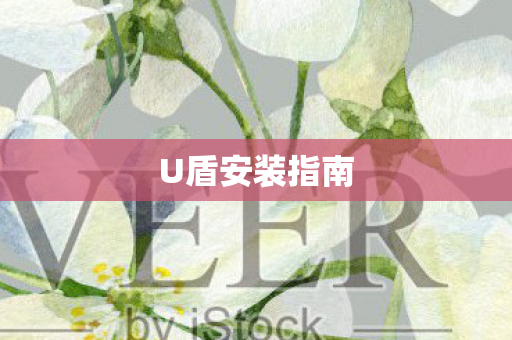 U盾安装指南 U盾安装指南