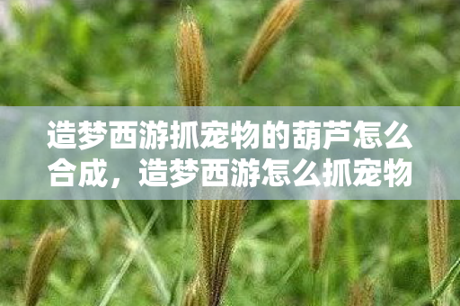 造梦西游抓宠物的葫芦怎么合成,造梦西游怎么抓宠物 造梦西游抓宠物的葫芦怎么合成,造梦西游怎么抓宠物