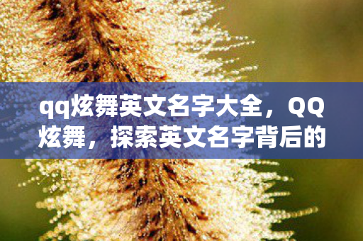qq炫舞英文名字大全，QQ炫舞，探索英文名字背后的音乐与舞蹈之旅