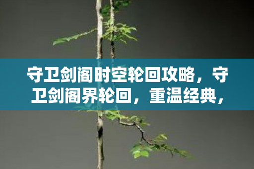 守卫剑阁时空轮回攻略,守卫剑阁界轮回,重温经典,探索未知轮回之旅 守卫剑阁时空轮回攻略,守卫剑阁界轮回,重温经典,探索未知轮回之旅