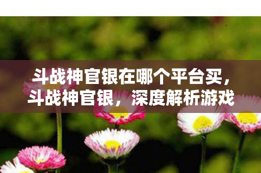 斗战神官银在哪个平台买，斗战神官银，深度解析游戏内经济体系与策略