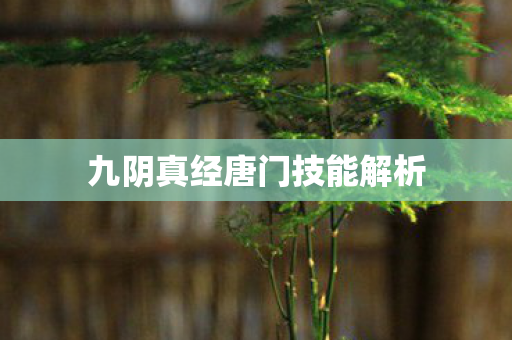九阴真经唐门技能解析