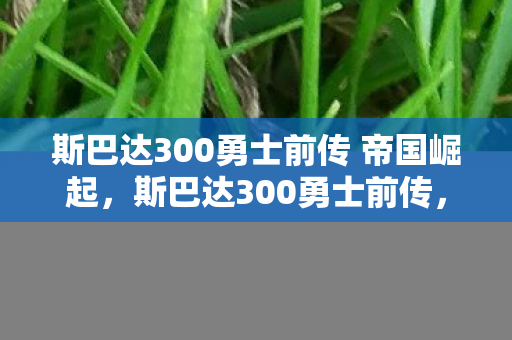 斯巴达300勇士前传 帝国崛起,斯巴达300勇士前传,传奇的序章 斯巴达300勇士前传 帝国崛起,斯巴达300勇士前传,传奇的序章