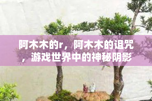 阿木木的r，阿木木的诅咒，游戏世界中的神秘阴影