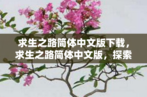 求生之路简体中文版下载,求生之路简体中文版,探索未知世界的生存之旅 求生之路简体中文版下载,求生之路简体中文版,探索未知世界的生存之旅