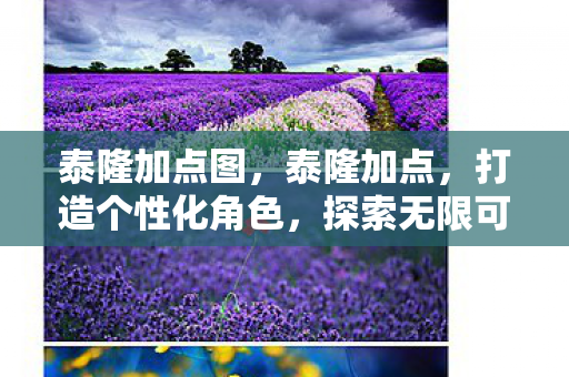 泰隆加点图,泰隆加点,打造个性化角色,探索无限可能 泰隆加点图,泰隆加点,打造个性化角色,探索无限可能