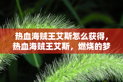 热血海贼王艾斯怎么获得,热血海贼王艾斯,燃烧的梦想与不朽的传奇 热血海贼王艾斯怎么获得,热血海贼王艾斯,燃烧的梦想与不朽的传奇