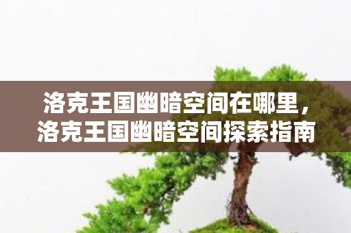 洛克王国幽暗空间在哪里，洛克王国幽暗空间探索指南