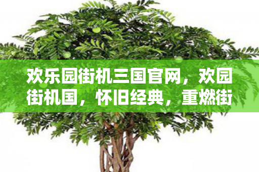 欢乐园街机三国官网,欢园街机国,怀旧经典,重燃街机之魂 欢乐园街机三国官网,欢园街机国,怀旧经典,重燃街机之魂