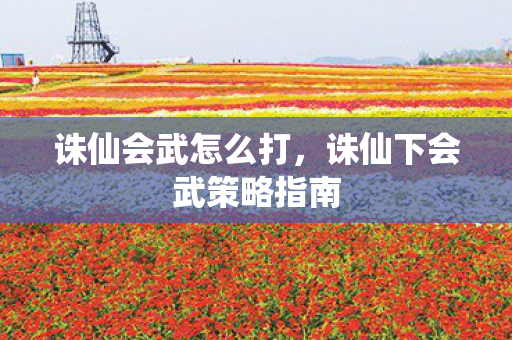 诛仙会武怎么打,诛仙下会武策略指南 诛仙会武怎么打,诛仙下会武策略指南