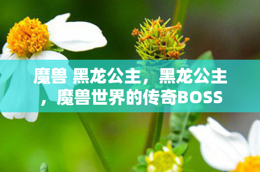 魔兽 黑龙公主,黑龙公主,魔兽世界的传奇BOSS 魔兽 黑龙公主,黑龙公主,魔兽世界的传奇BOSS