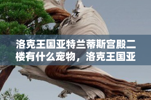 洛克王国亚特兰蒂斯宫殿二楼有什么宠物,洛克王国亚特兰蒂斯宫殿,探索神秘的海底王国 洛克王国亚特兰蒂斯宫殿二楼有什么宠物,洛克王国亚特兰蒂斯宫殿,探索神秘的海底王国