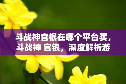 斗战神官银在哪个平台买，斗战神 官银，深度解析游戏内经济体系与玩家互动