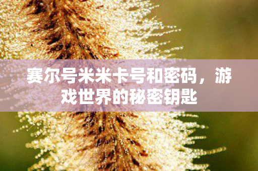赛尔号米米卡号和密码,游戏世界的秘密钥匙 赛尔号米米卡号和密码,游戏世界的秘密钥匙